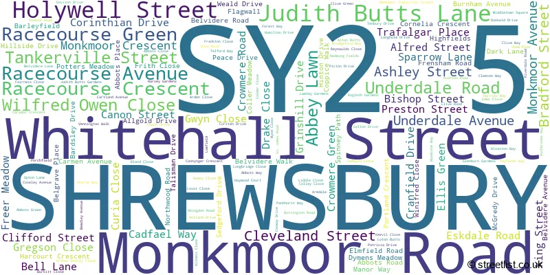 A word cloud for the SY2 5 postcode
